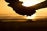 Santa Barbara Wedding-Photography Photography 80 Santa Barbara Wedding-Photography Photography 80